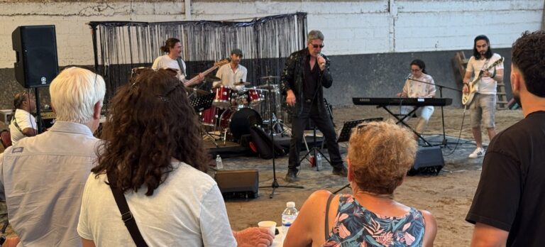 Le groupe du Tribute Johnny Hallyday en concert devant le public